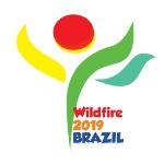 Наш проект на конференции Wildfire-2019 в Бразилии